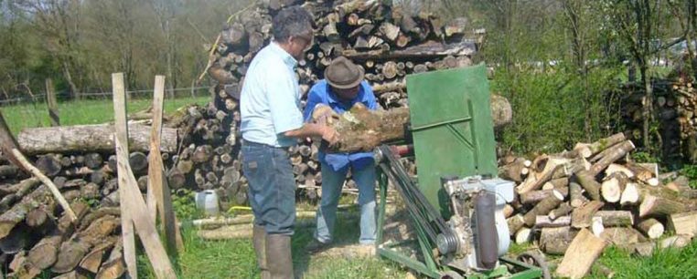 Entretien des arbres et coupe du bois