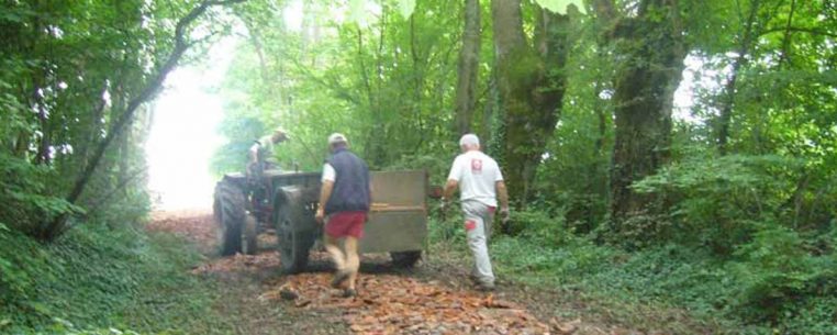 Remblai du chemin en tuiles cassées